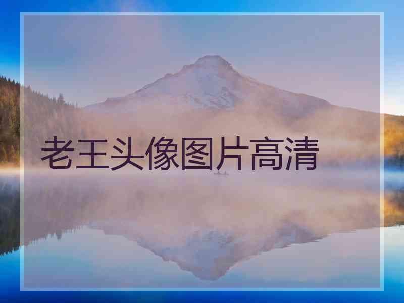 老王头像图片高清