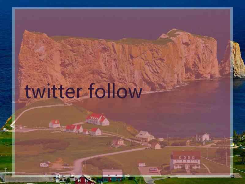 twitter follow