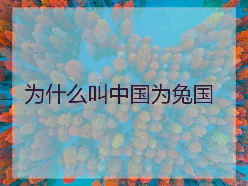为什么叫中国为兔国