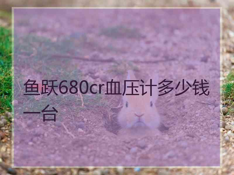 鱼跃680cr血压计多少钱一台