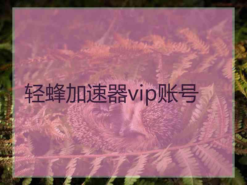 轻蜂加速器vip账号