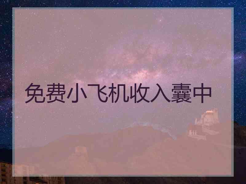 免费小飞机收入囊中
