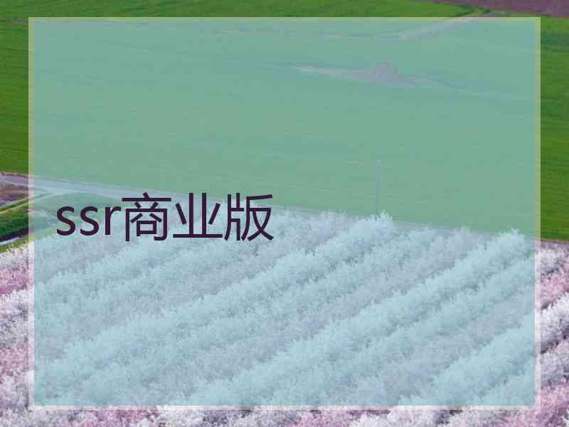 ssr商业版