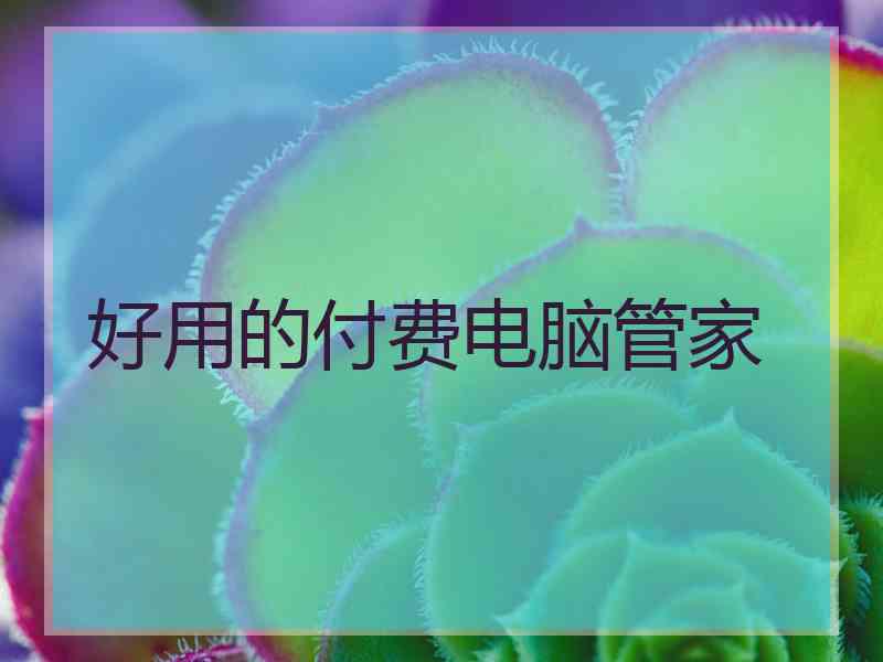 好用的付费电脑管家