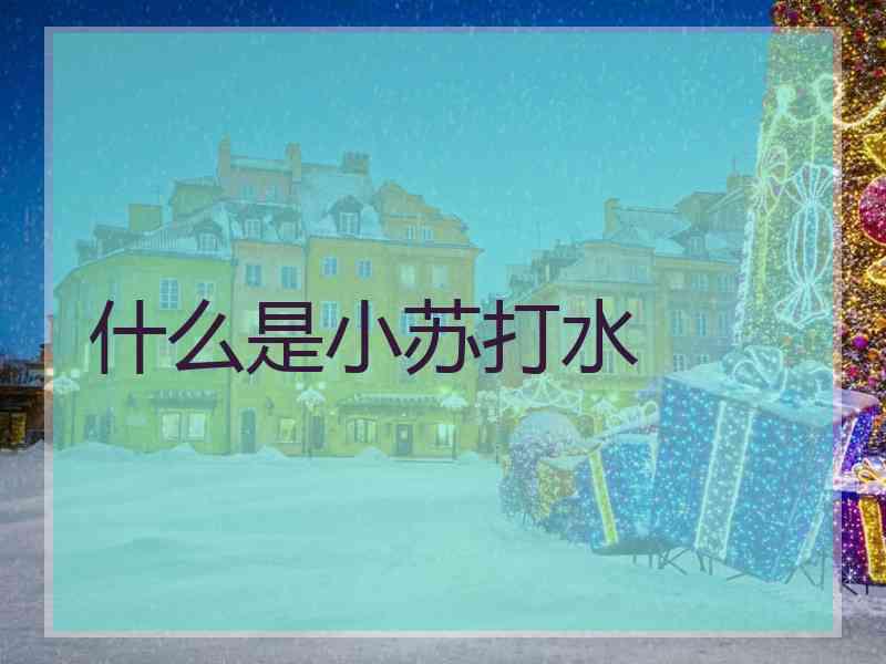 什么是小苏打水