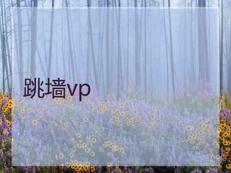 跳墙vp