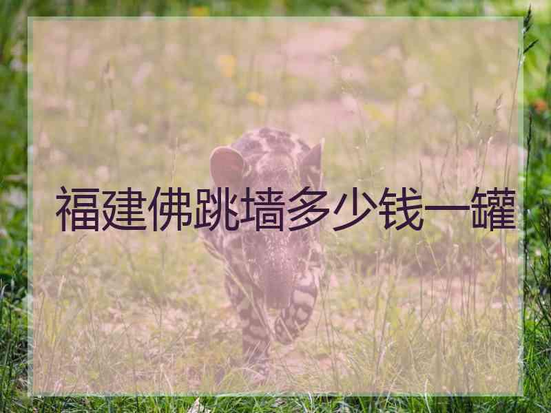 福建佛跳墙多少钱一罐