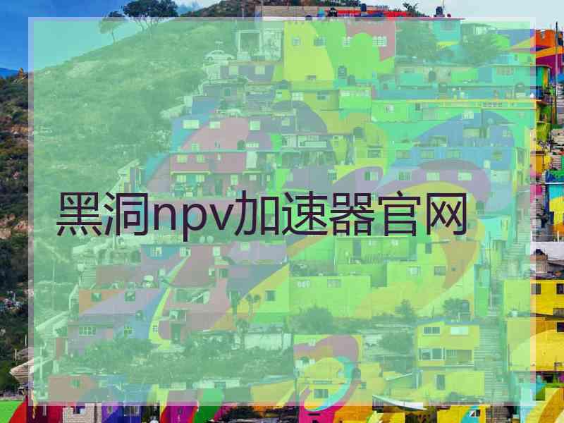 黑洞npv加速器官网