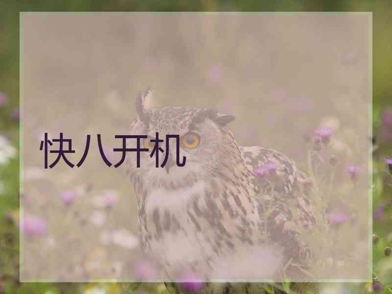 快八开机