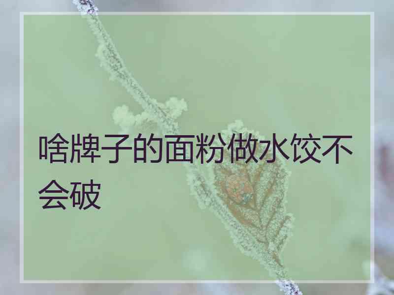 啥牌子的面粉做水饺不会破