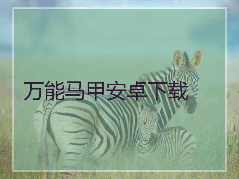 万能马甲安卓下载