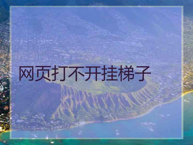 网页打不开挂梯子