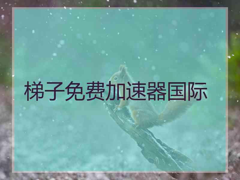 梯子免费加速器国际