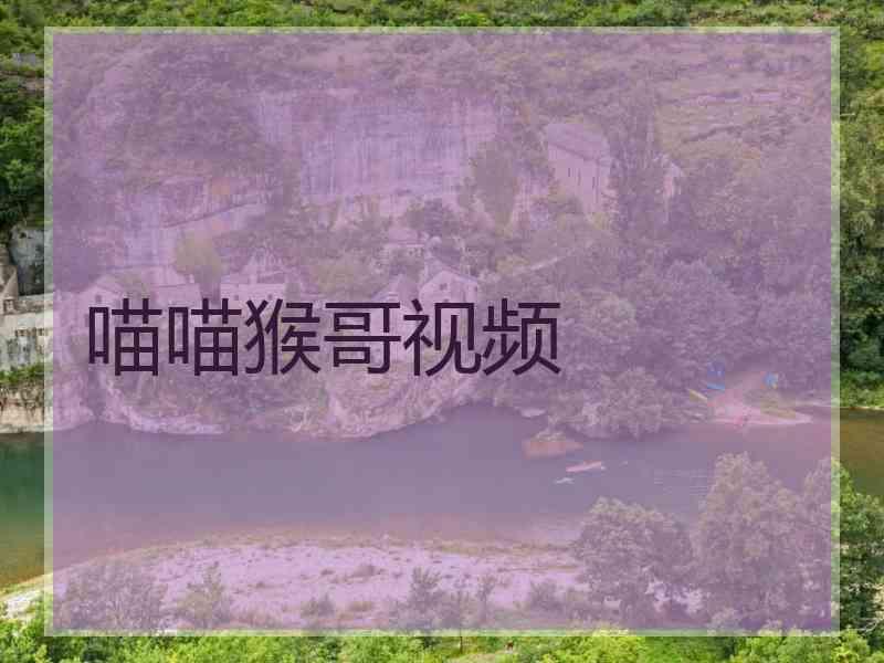 喵喵猴哥视频