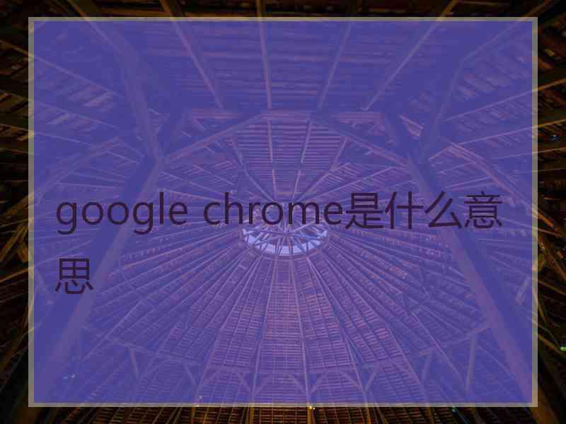 google chrome是什么意思