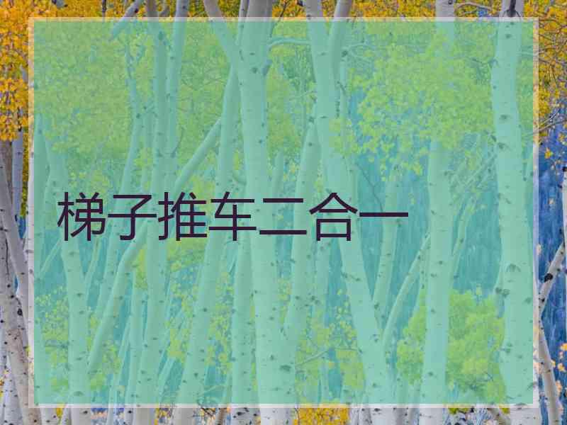 梯子推车二合一