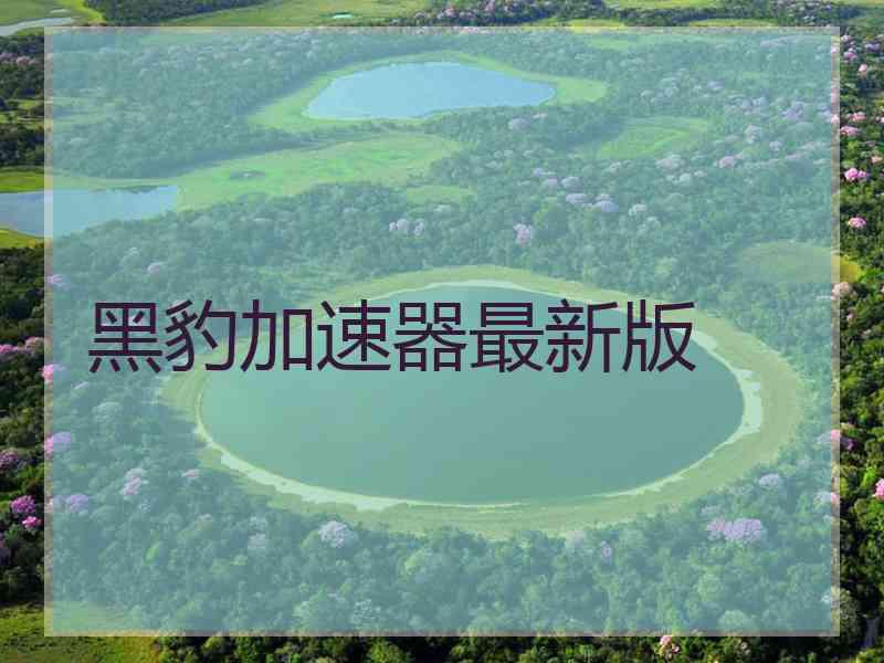 黑豹加速器最新版