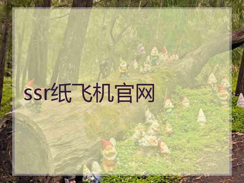 ssr纸飞机官网