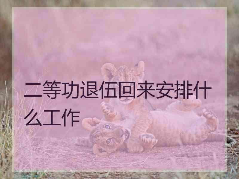 二等功退伍回来安排什么工作