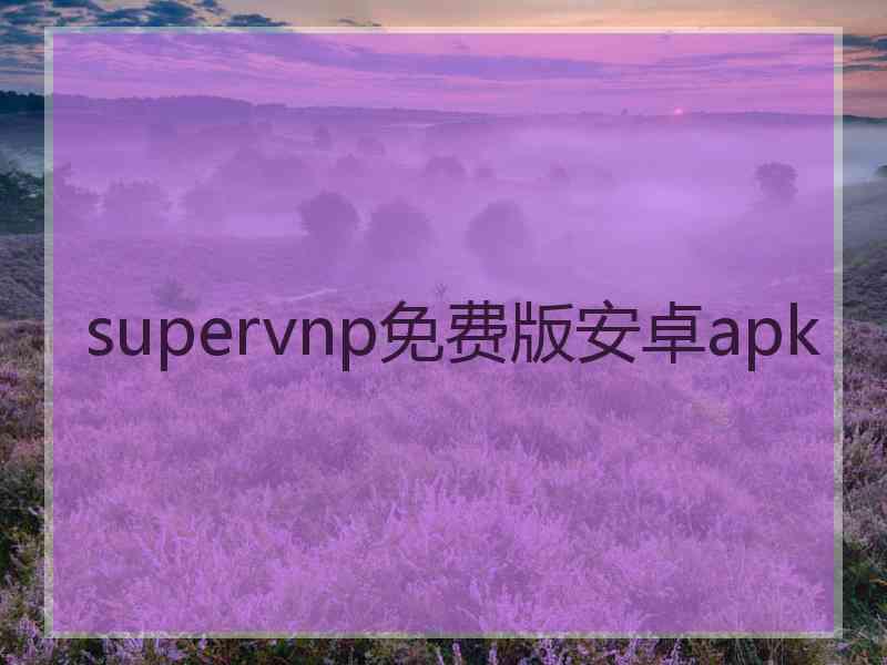 supervnp免费版安卓apk