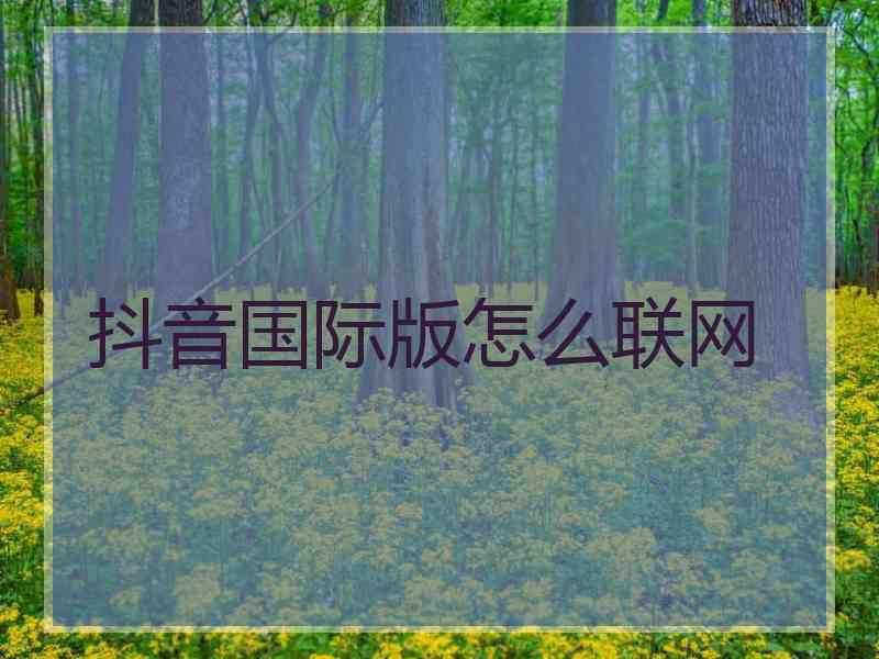 抖音国际版怎么联网