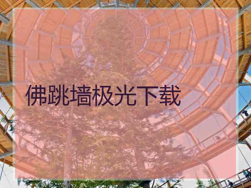 佛跳墙极光下载