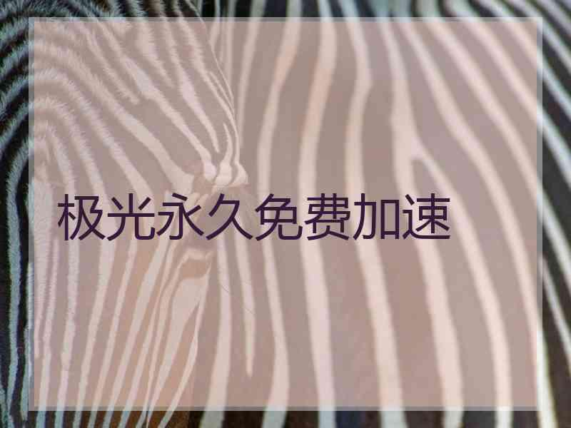 极光永久免费加速