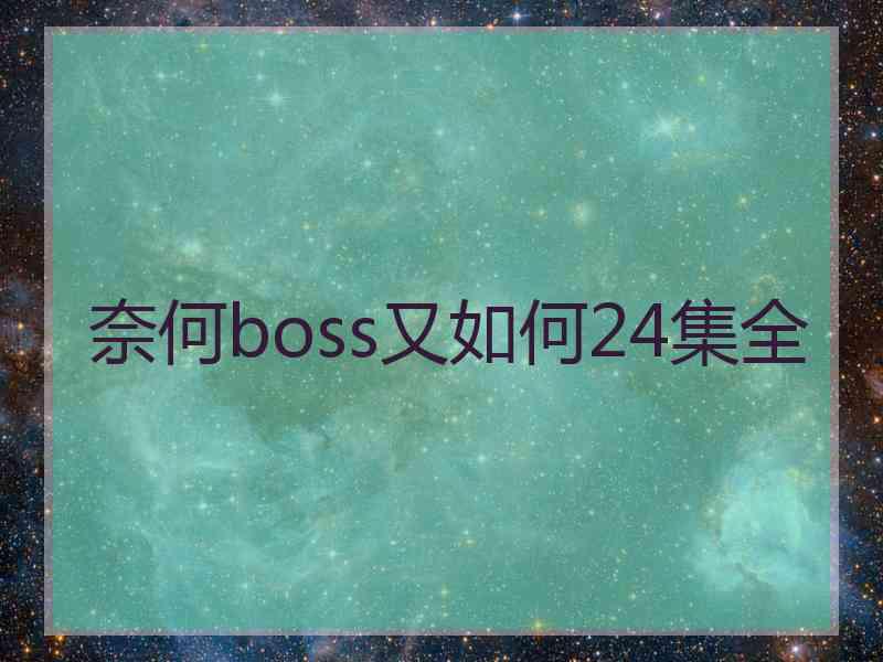 奈何boss又如何24集全
