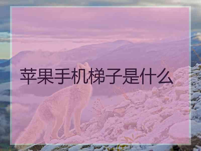 苹果手机梯子是什么