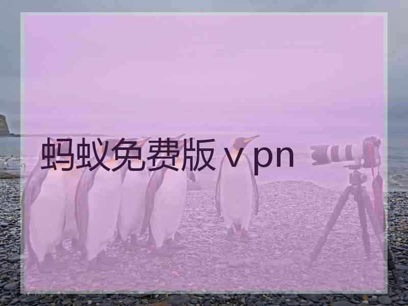 蚂蚁免费版ⅴpn