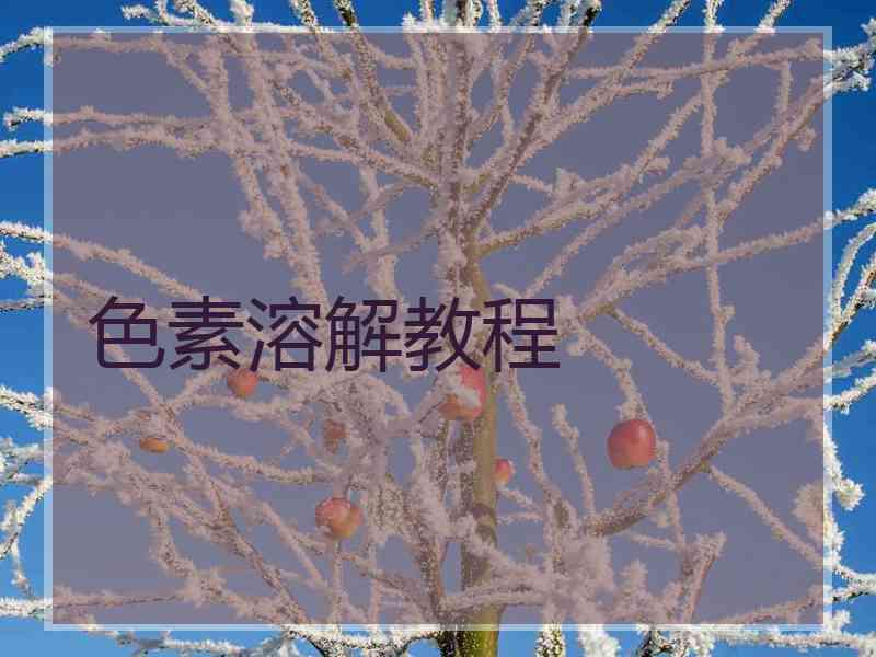 色素溶解教程