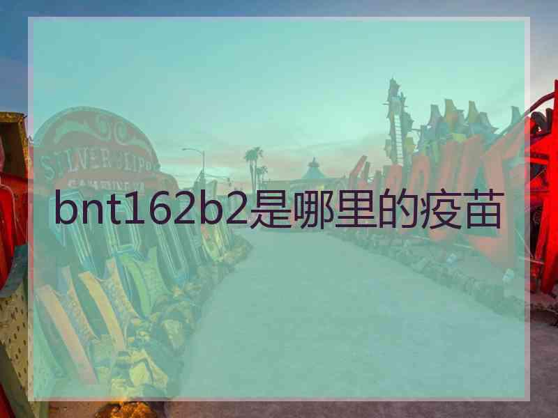 bnt162b2是哪里的疫苗