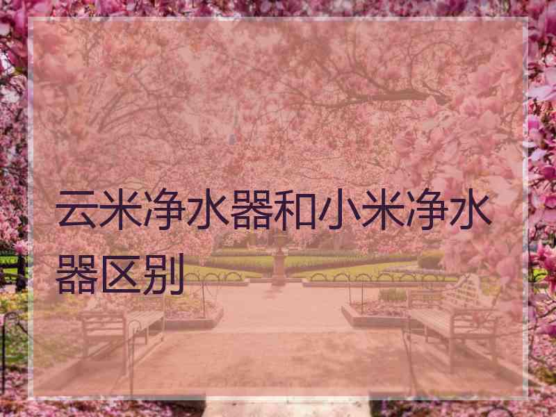 云米净水器和小米净水器区别