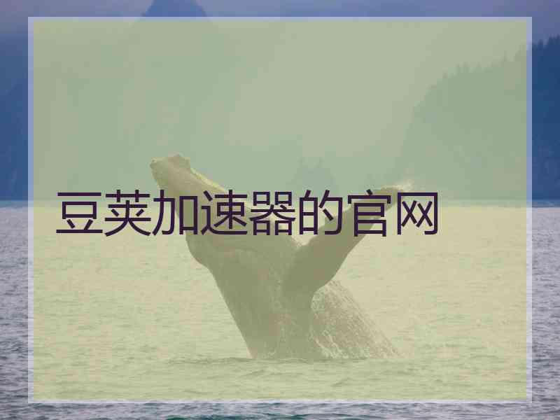 豆荚加速器的官网