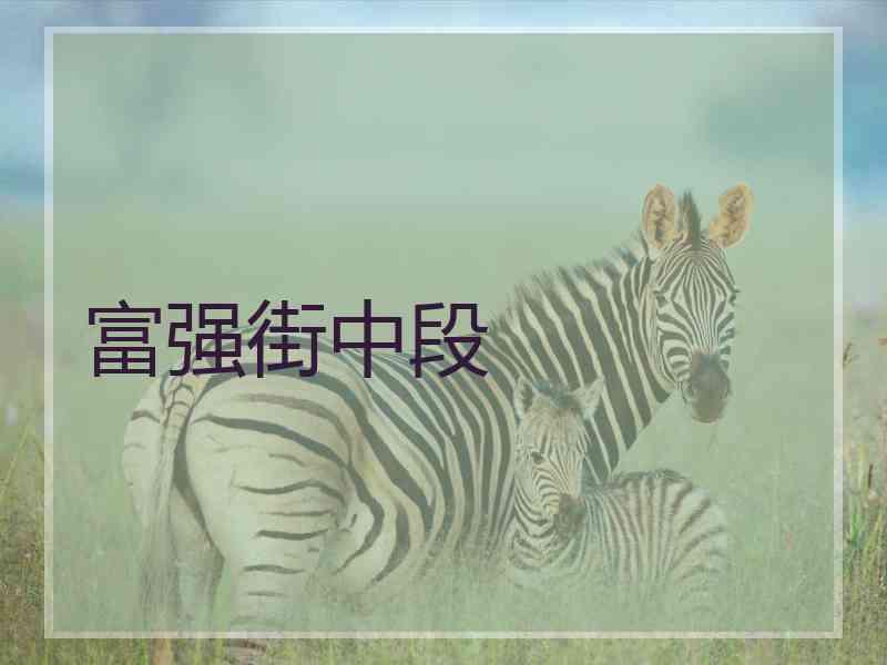 富强街中段