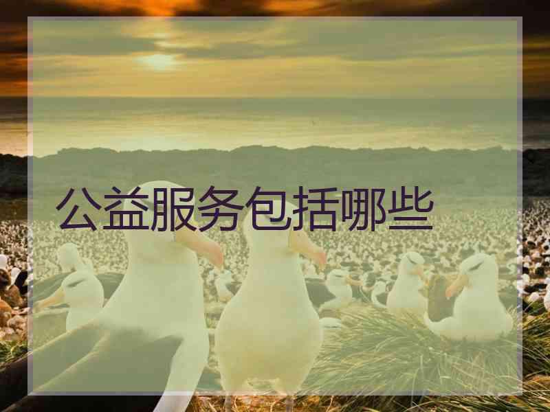 公益服务包括哪些