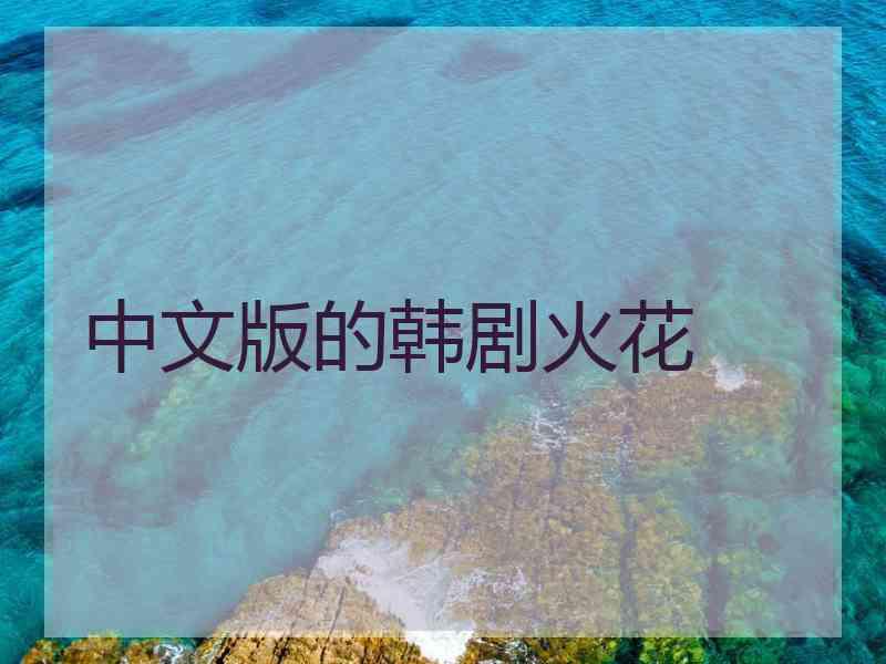 中文版的韩剧火花