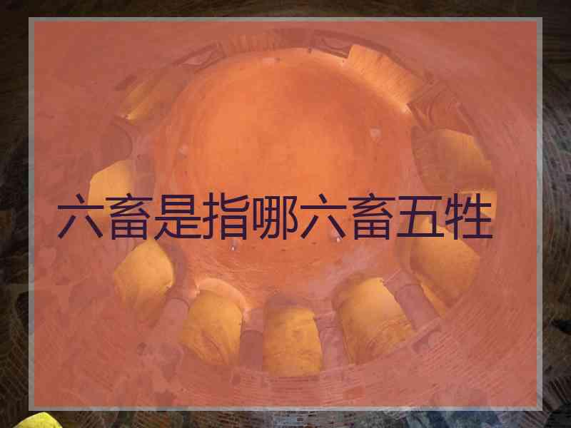 六畜是指哪六畜五牲