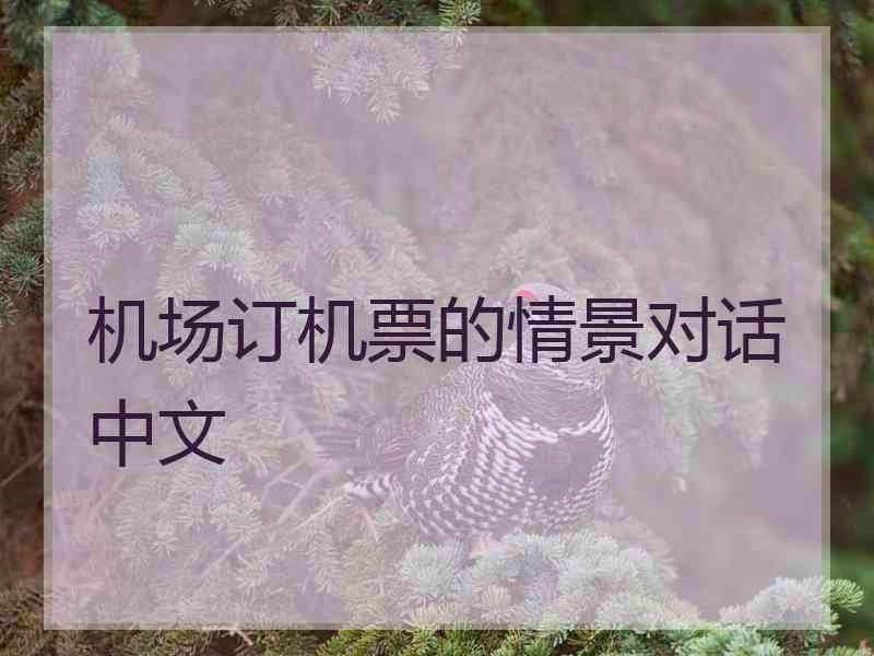 机场订机票的情景对话中文