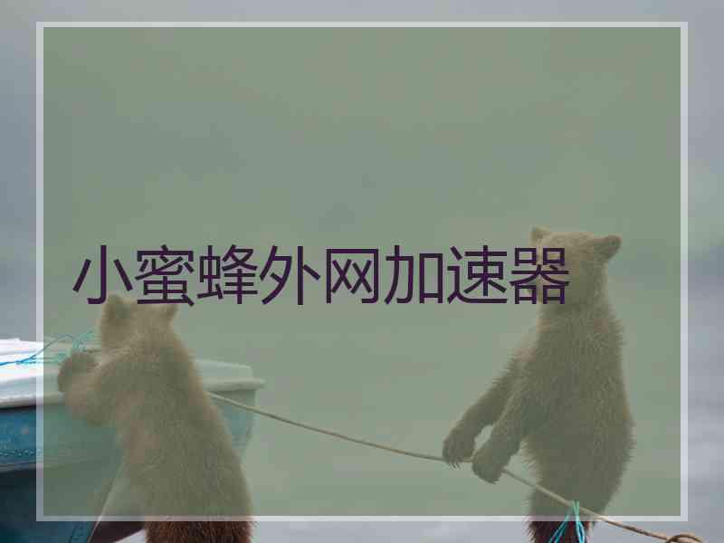小蜜蜂外网加速器