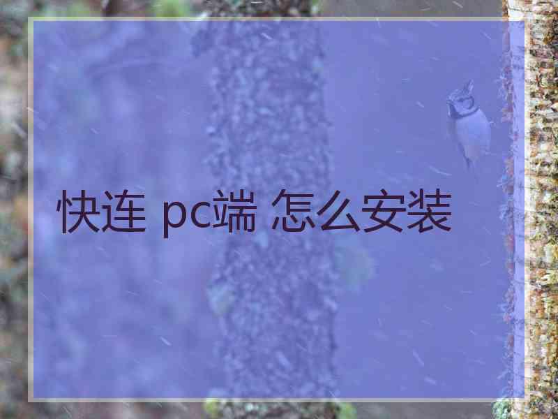快连 pc端 怎么安装