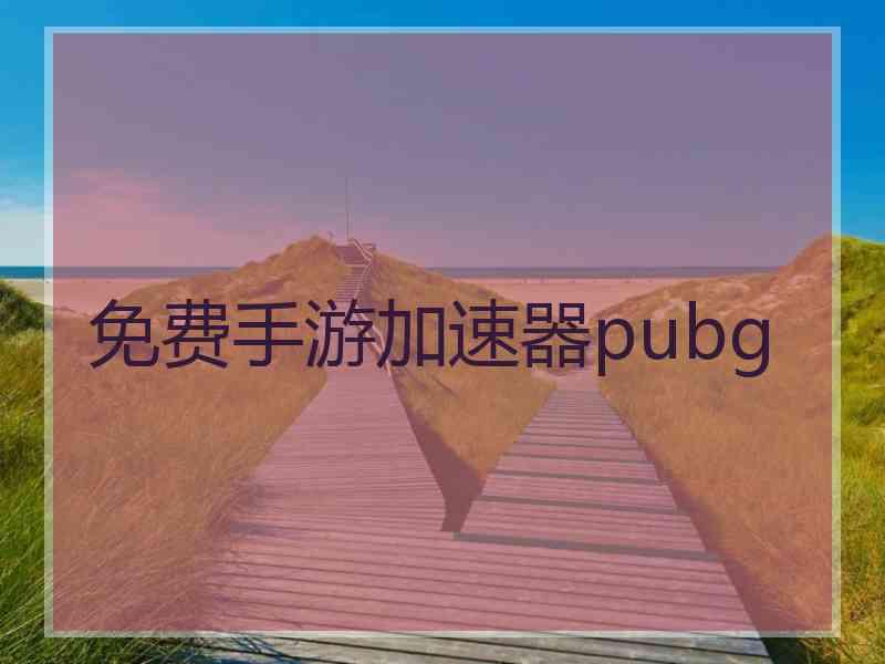 免费手游加速器pubg