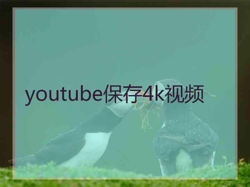 youtube保存4k视频