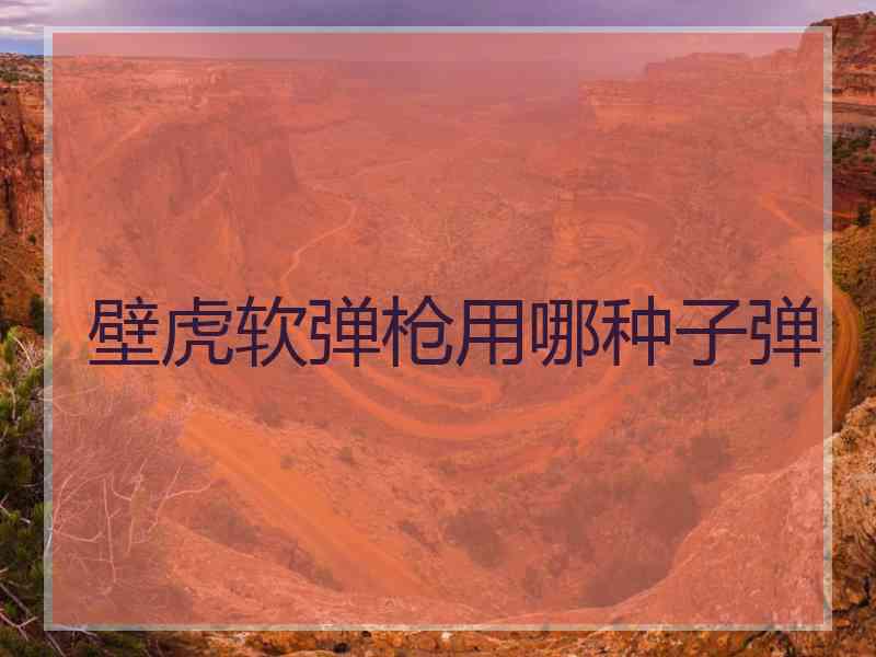壁虎软弹枪用哪种子弹