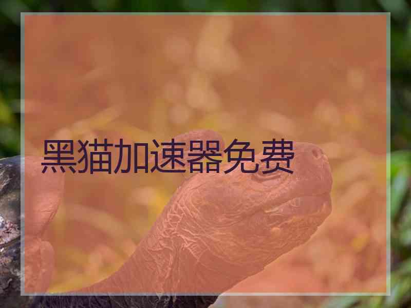 黑猫加速器免费