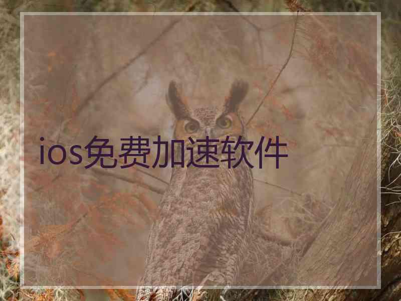 ios免费加速软件