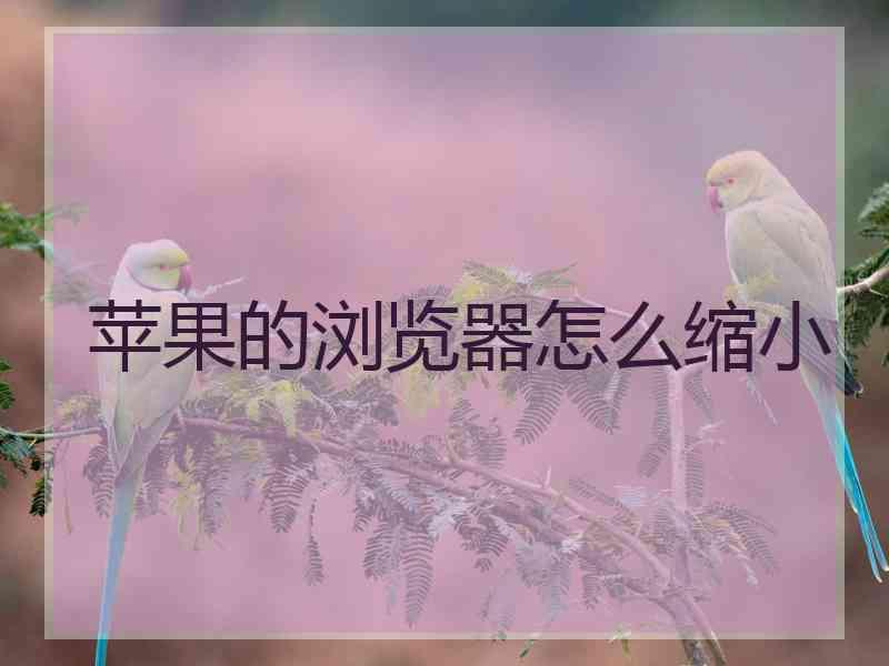 苹果的浏览器怎么缩小