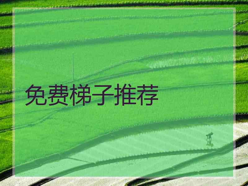 免费梯子推荐