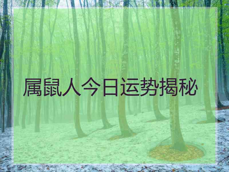 属鼠人今日运势揭秘