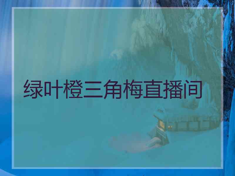 绿叶橙三角梅直播间